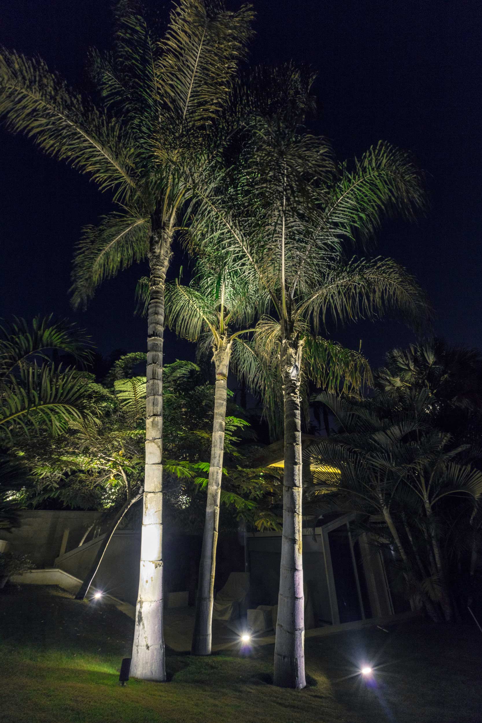 MT Residence - Image 9